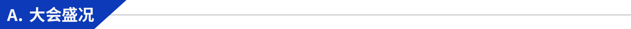 大会盛况.png